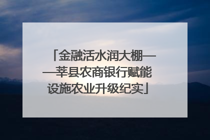 金融活水润大棚——莘县农商银行赋能设施农业升级纪实