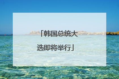 韩国总统大选即将举行