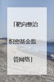 靶向整治织密基金监管网络