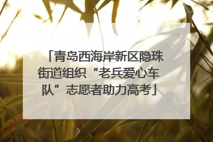 青岛西海岸新区隐珠街道组织“老兵爱心车队”志愿者助力高考