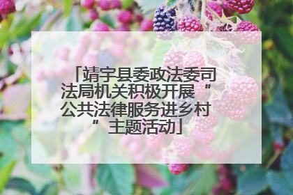 靖宇县委政法委司法局机关积极开展“公共法律服务进乡村”主题活动