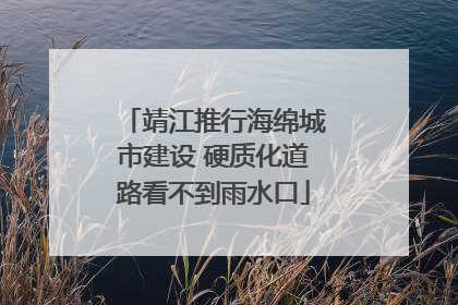 靖江推行海绵城市建设 硬质化道路看不到雨水口