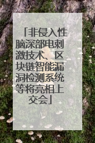 非侵入性脑深部电刺激技术、区块链智能漏洞检测系统等将亮相上交会