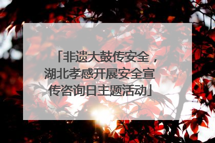 非遗大鼓传安全，湖北孝感开展安全宣传咨询日主题活动
