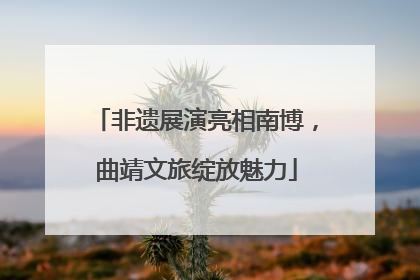 非遗展演亮相南博，曲靖文旅绽放魅力