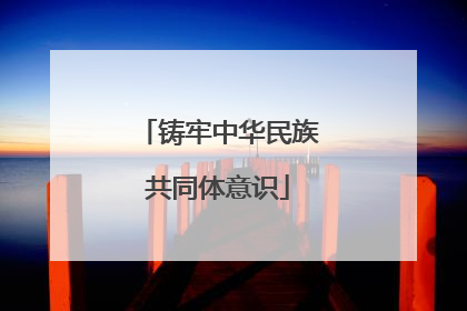 铸牢中华民族共同体意识