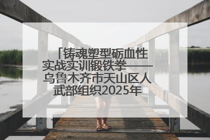 铸魂塑型砺血性 实战实训锻铁拳——乌鲁木齐市天山区人武部组织2025年度民兵集中轮训