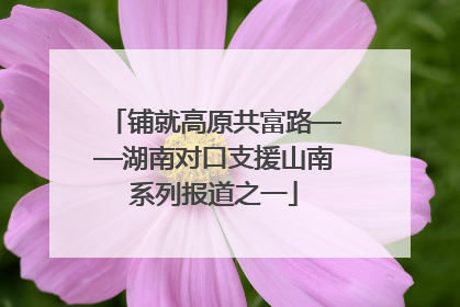 铺就高原共富路——湖南对口支援山南系列报道之一