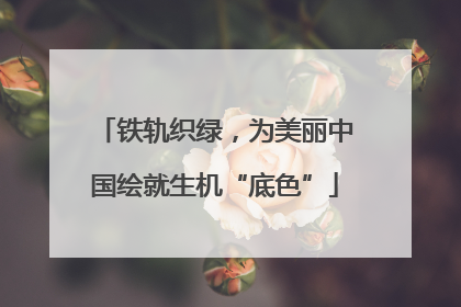 铁轨织绿，为美丽中国绘就生机“底色”