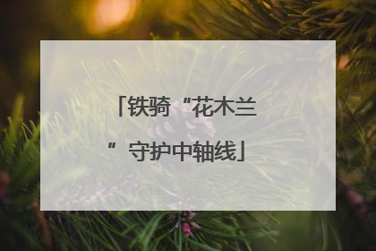 铁骑“花木兰”守护中轴线