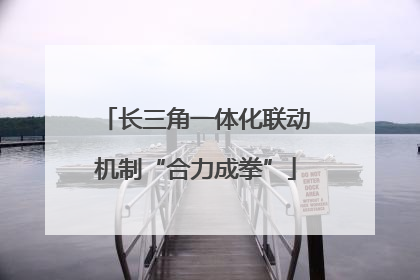 长三角一体化联动机制“合力成拳”