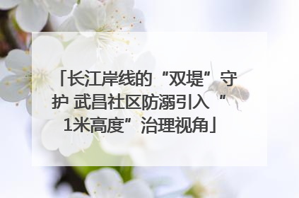 长江岸线的“双堤”守护 武昌社区防溺引入“1米高度”治理视角