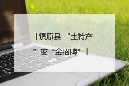 镇原县 “土特产”变“金招牌”