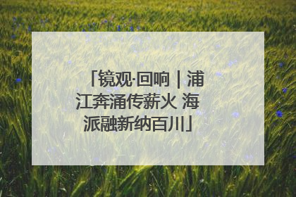 镜观·回响｜浦江奔涌传薪火 海派融新纳百川