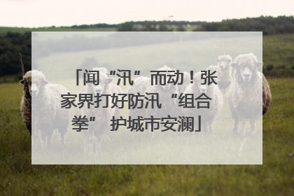 闻“汛”而动！张家界打好防汛“组合拳” 护城市安澜