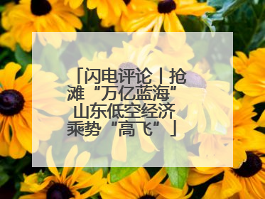 闪电评论丨抢滩“万亿蓝海” 山东低空经济乘势“高飞”