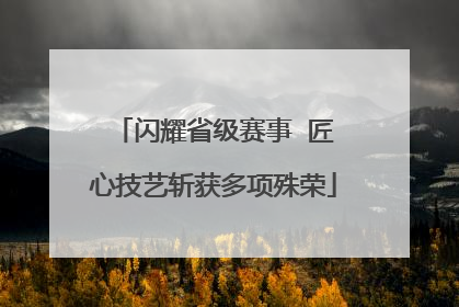 闪耀省级赛事  匠心技艺斩获多项殊荣