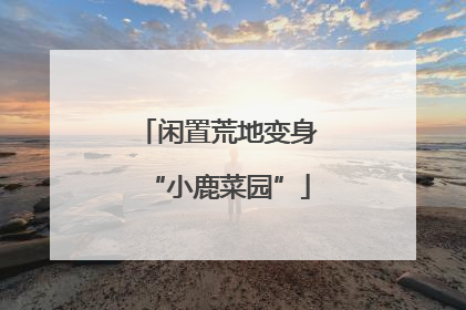闲置荒地变身“小鹿菜园”