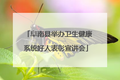 阜南县举办卫生健康系统好人表彰宣讲会