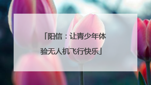 阳信：让青少年体验无人机飞行快乐
