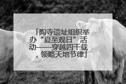 陶寺遗址组织举办“夏至观日”活动——穿越四千载，领略天地节律