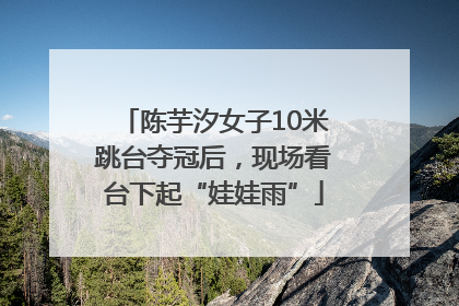 陈芋汐女子10米跳台夺冠后，现场看台下起“娃娃雨”