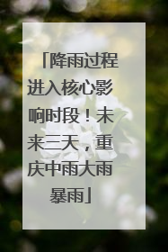 降雨过程进入核心影响时段！未来三天，重庆中雨大雨暴雨