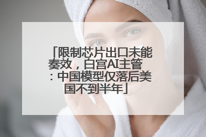 限制芯片出口未能奏效，白宫AI主管：中国模型仅落后美国不到半年