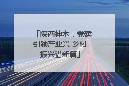 陕西神木：党建引领产业兴 乡村振兴谱新篇