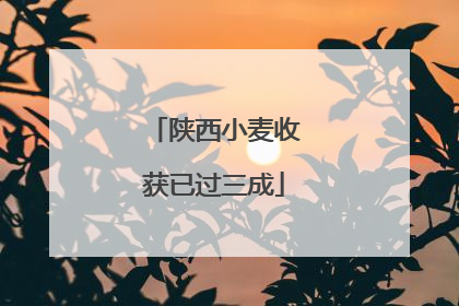 陕西小麦收获已过三成