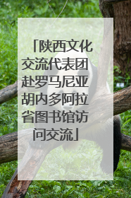 陕西文化交流代表团赴罗马尼亚胡内多阿拉省图书馆访问交流