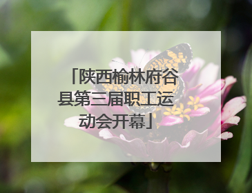 陕西榆林府谷县第三届职工运动会开幕