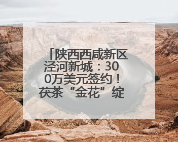 陕西西咸新区泾河新城：300万美元签约！茯茶“金花”绽放中亚