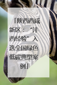 陕西西咸新区：“沣西经验”入选全国绿色低碳典型案例