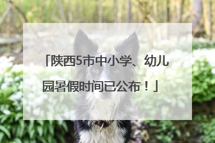陕西5市中小学、幼儿园暑假时间已公布！