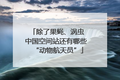 除了果蝇、涡虫 中国空间站还有哪些“动物航天员”