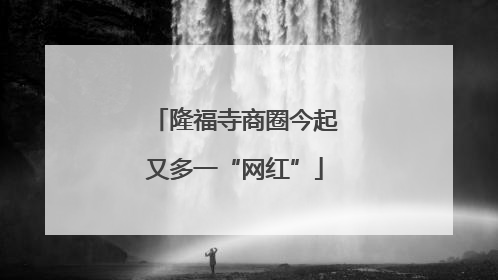 隆福寺商圈今起又多一“网红”
