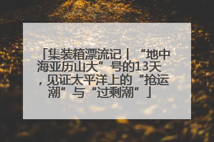 集装箱漂流记丨“地中海亚历山大”号的13天，见证太平洋上的“抢运潮”与“过剩潮”
