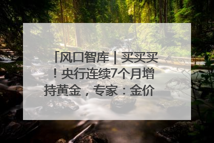 风口智库｜买买买！央行连续7个月增持黄金，专家：金价或仍易涨难跌