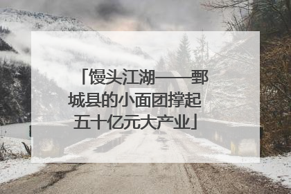 馒头江湖——鄄城县的小面团撑起五十亿元大产业