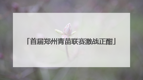 首届郑州青苗联赛激战正酣