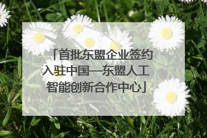 首批东盟企业签约入驻中国—东盟人工智能创新合作中心