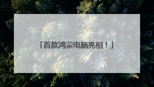 首款鸿蒙电脑亮相！