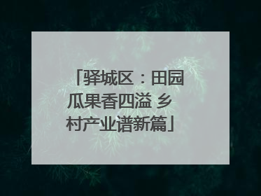 驿城区：田园瓜果香四溢 乡村产业谱新篇