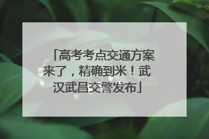 高考考点交通方案来了，精确到米！武汉武昌交警发布