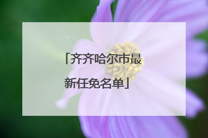 齐齐哈尔市最新任免名单