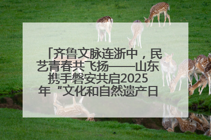 齐鲁文脉连浙中，民艺青春共飞扬——山东携手磐安共启2025年“文化和自然遗产日”系列活动