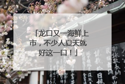 龙口又一海鲜上市，不少人夏天就好这一口！