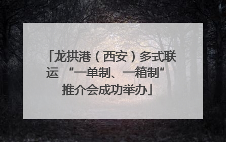 龙拱港（西安）多式联运 “一单制、一箱制” 推介会成功举办