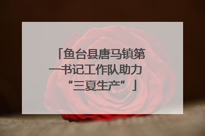 鱼台县唐马镇第一书记工作队助力“三夏生产”